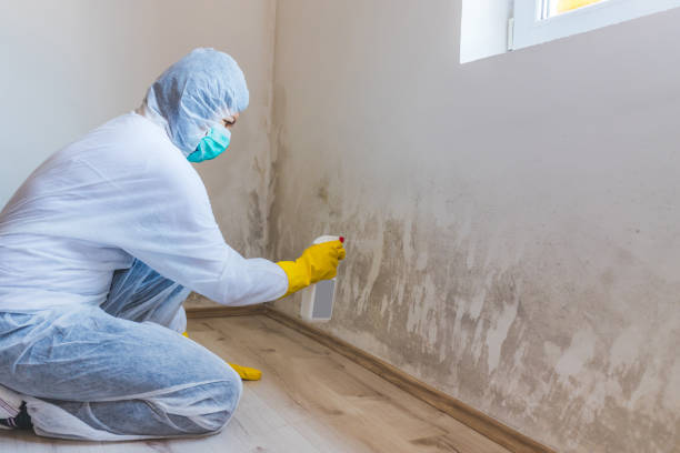 Mold Remediation specialist working in Milliken